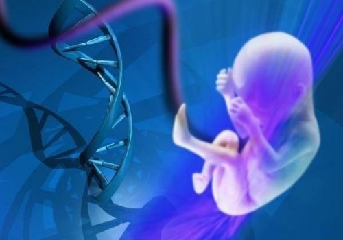禁欲生男孩并不准，必须禁欲两周真不可信