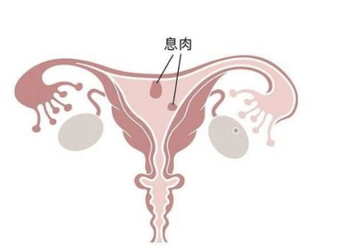 内膜0.8cm持续无月经？了解着床怀孕几率的重要性